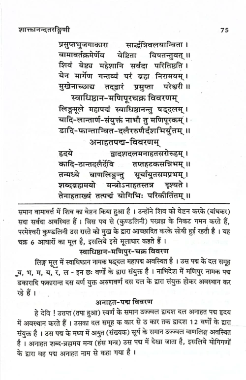 Shaktanandatarangini (TGN 17)